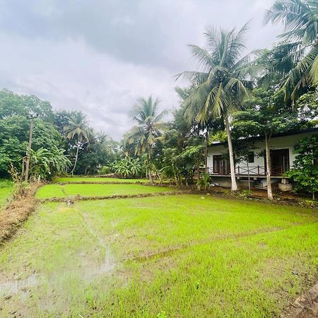 Anuradhapura Hotels Eksteriør billede