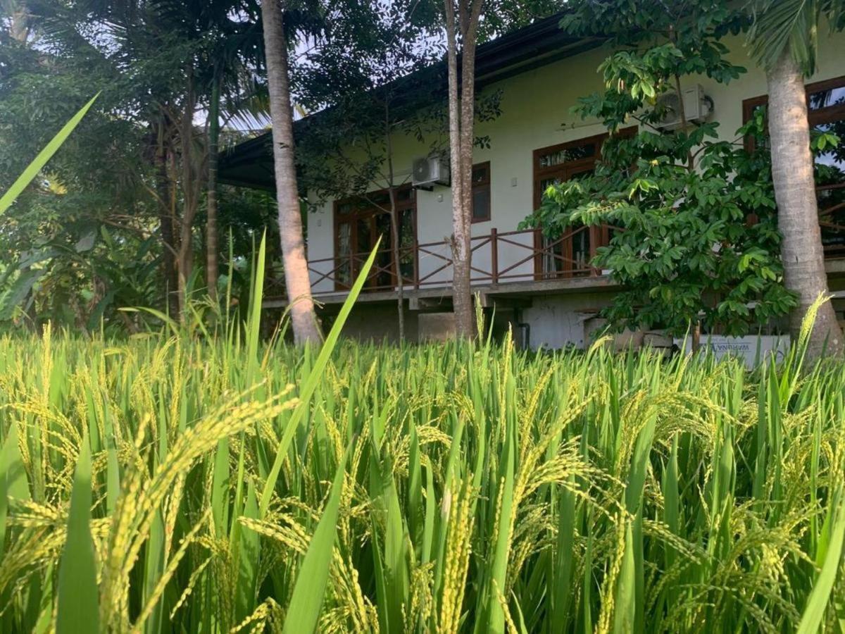 Anuradhapura Hotels Eksteriør billede